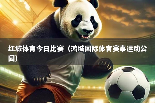 红城体育今日比赛(鸿城国际体育赛事运动公园)