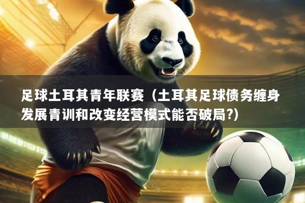 足球土耳其青年联赛(土耳其足球债务缠身 发展青训和改变经营模式能否破局?)