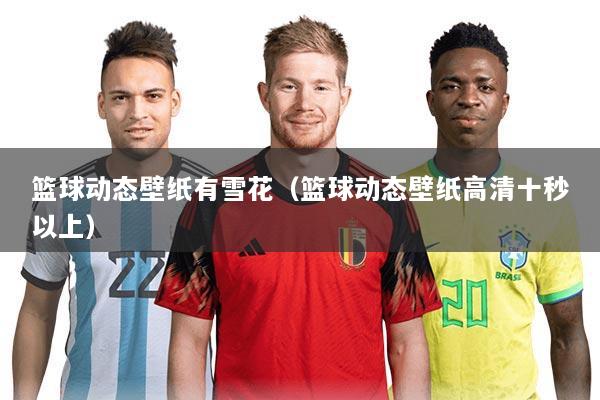 篮球动态壁纸有雪花(篮球动态壁纸高清十秒以上)