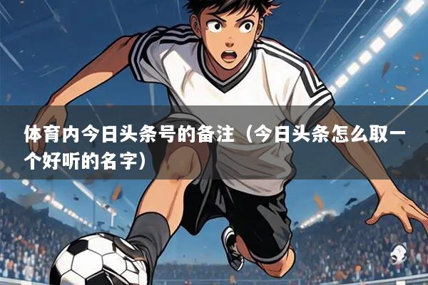 体育内今日头条号的备注(今日头条怎么取一个好听的名字)