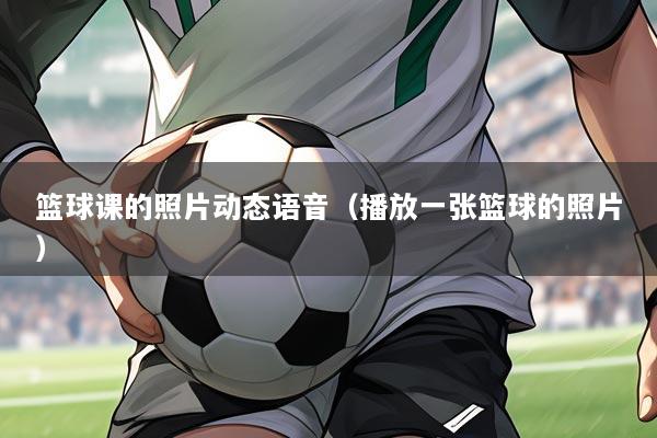 篮球课的照片动态语音(播放一张篮球的照片)