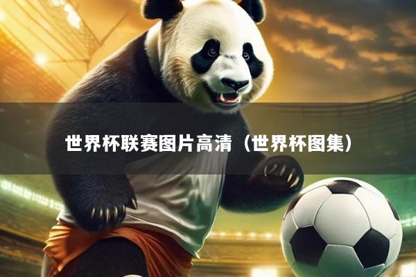 世界杯联赛图片高清（世界杯图集）